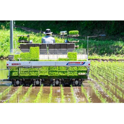 ふるさと納税 那須町 那須産 コシヒカリ2kg ≪白米≫〔A-47〕 |  | 03
