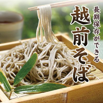 ふるさと納税 越前市 創業90余年の老舗・武生製麺 常温で長期保存できる「越前そば」10食