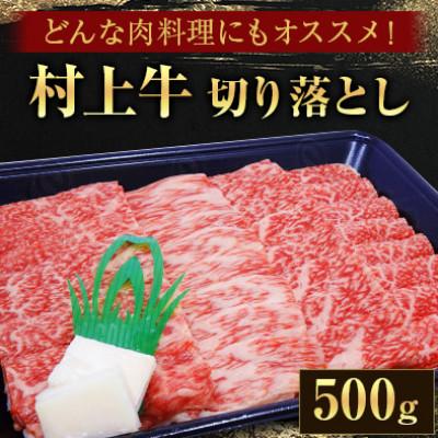 ふるさと納税 村上市 どんな肉料理にもオススメ! 村上牛100%切り落とし500g 1021002