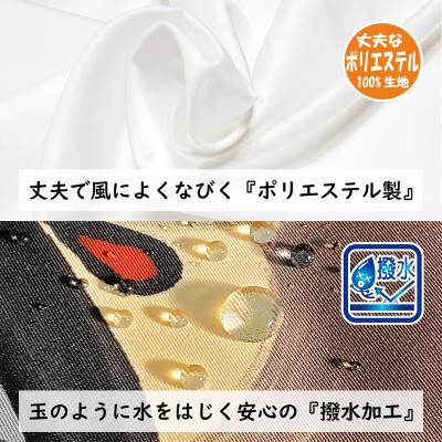 ふるさと納税 鴻巣市 【のし付き】総手描き鯉のぼり「晴々」60cm 鯉吹のみセット/端午の節句 出産祝い |  | 02