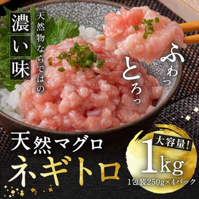 ふるさと納税 越前市 ふわとろネギトロ粗挽き+ネギトロ専用の特選醤油(ミニ)5本セット付き[天然マグロ使用]約1キロ