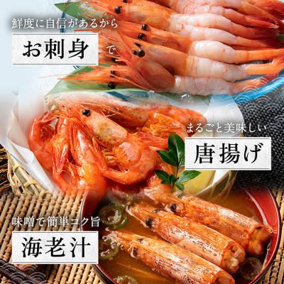 ふるさと納税 越前市 鮮度抜群の大きい甘エビ1kg小分け(総重量1.2kg) ※無添加 |  | 02