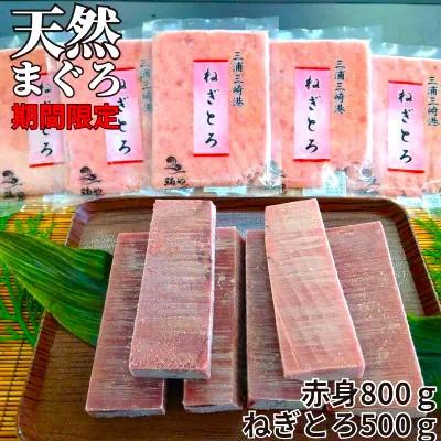 ふるさと納税 三浦市 三崎の天然まぐろ赤身800g・ねぎとろ100g×5パック(500g)セット