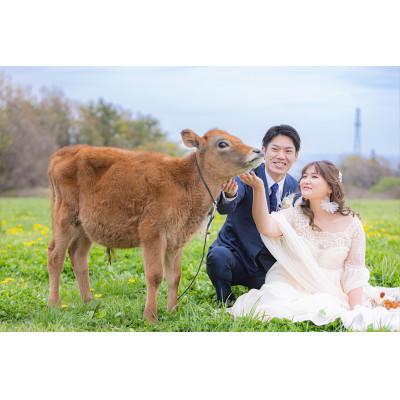 ふるさと納税 那須町 フォトウェディングー衣裳持込みプラン(洋装1点)〔P-115〕