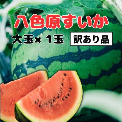 ふるさと納税 南魚沼市 [2027年発送][わけあり品][新潟県 南魚沼産]八色原すいか大玉1玉