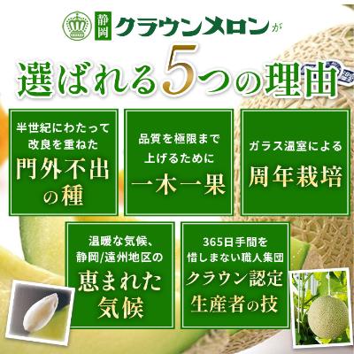 ふるさと納税 磐田市 【通年出荷】クラウンメロン(白等級) 1玉 化粧箱入 |  | 02