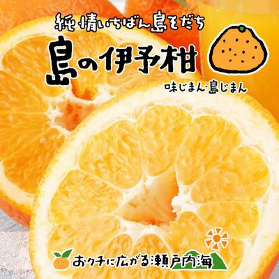 ふるさと納税 松山市 希望の島 伊予柑 7kg