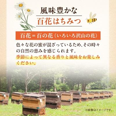 ふるさと納税 茅野市 信州産アカシアはちみつ600g・百花はちみつ600gセット_2
