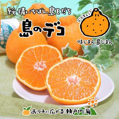 ふるさと納税 松山市 希望の島 不知火 4kg
