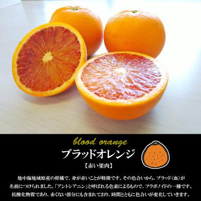 ふるさと納税 松山市 希望の島 ブラッドオレンジ 3kg : Yahoo!ふるさと