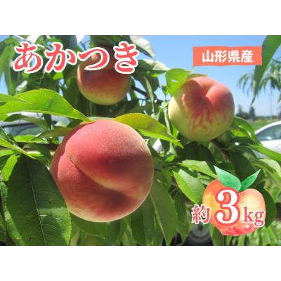 ふるさと納税 高畠町 (先行受付)[数量限定]山形県高畠町産もも 『あかつき』 約3kg(8玉〜11玉)