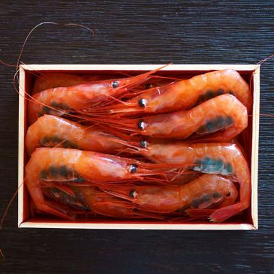ふるさと納税 糸魚川市 際立つ甘さと鮮やかさ『甘エビ』500g(250×2パック) 約35尾 糸魚川産 |  | 02
