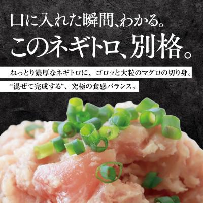 ふるさと納税 西脇市 天然マグロ尽くしセット(ネギトロ500g& ハラモ切落し500g)13-25 |  | 01