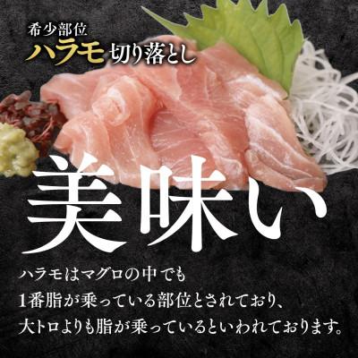 ふるさと納税 西脇市 天然マグロ尽くしセット(ネギトロ500g& ハラモ切落し500g)13-25 |  | 02