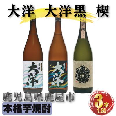 ふるさと納税 鹿屋市 楔 薩摩大洋 大洋黒 芋焼酎 25度 1800ml×各1本(計3本)(鹿屋市)2115