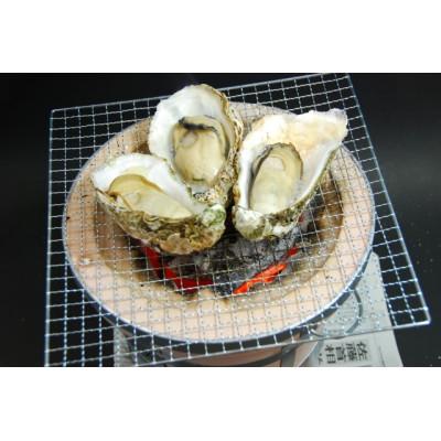 ふるさと納税 廿日市市 蒸し牡蠣、焼き牡蠣におすすめ!冷凍殻付き牡蠣10個 2袋