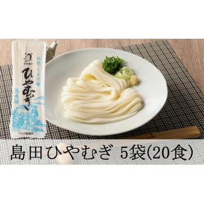 ふるさと納税 八百津町 島田冷麦 5袋(20食分)