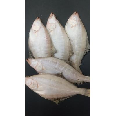 ふるさと納税 宮津市 [エテカレイ一夜干し 5枚セット [ 小分けの個包装パック ]]