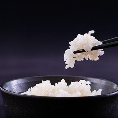 ふるさと納税 高森町 【南信州高森産】2025年産 長野県オリジナル米「風さやか」精米30kgの画像