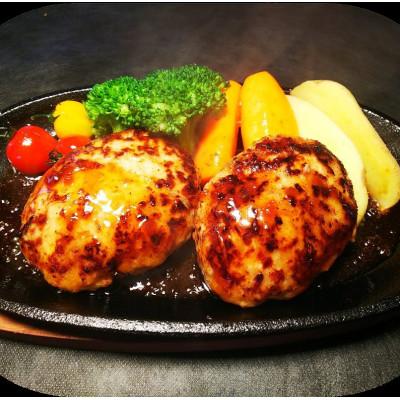 ふるさと納税 那須塩原市 那須郡司豚オールポークハンバーグ