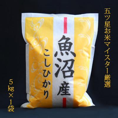 ふるさと納税 魚沼市 五つ星お米マイスター厳選 無洗米北魚沼産コシヒカリ5kg