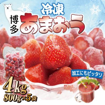 ふるさと納税 岡垣町 福岡県産冷凍あまおう4kg(800g×5袋)(岡垣町