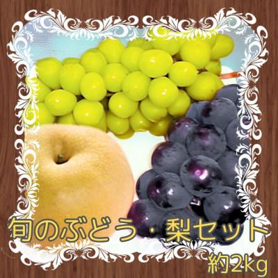 ふるさと納税 高森町 [南信州高森産]旬の ぶどう・梨セット 約2kg<9月下旬より発送開始>