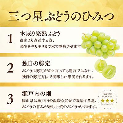 ふるさと納税 津山市 星乃 シャインマスカット 1.3kg以上 2房 数量限定 岡山県産 ぶどう フルーツ 人気ぶどう |  | 03