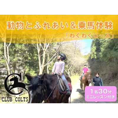 ふるさと納税 那賀町 動物とふれあい&amp;乗馬体験〜馬に乗って林道散歩(外乗)〜『わくわくコース』1名(ミニレッスン付き)