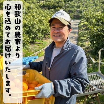 ふるさと納税 広川町 ≪先行予約 2027年2月〜発送≫特撰 完熟清見