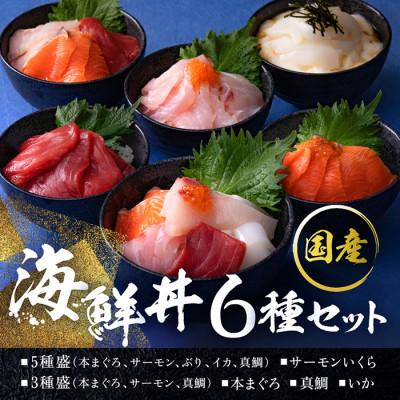 ふるさと納税 越前市 [純国産]海鮮丼の具の贅沢6種類セット(無添加仕様)