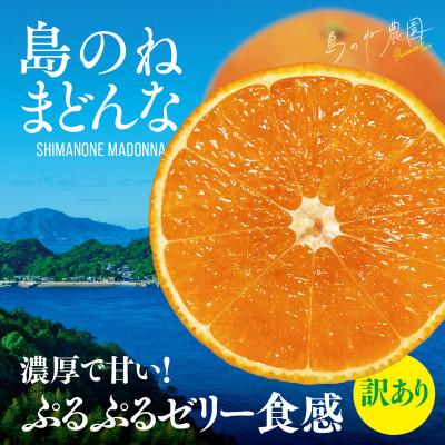 ふるさと納税 今治市 [訳あり]先行受付 島のね農園のまどんな(5kg)[KB01620]