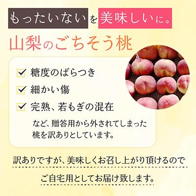 ふるさと納税 山梨市 【2027年発送】訳あり!桃 3kg前後 |  | 03