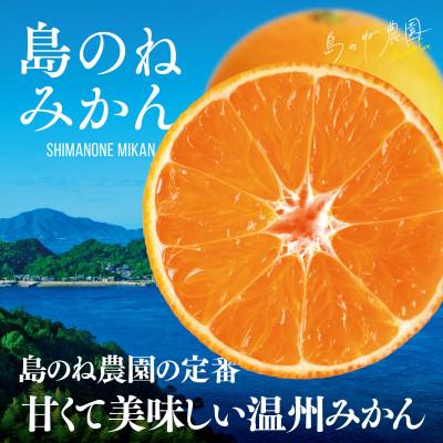 ふるさと納税 今治市 [先行受付]島のね農園 みかん5kg[KB01630]