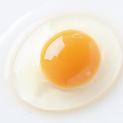 ふるさと納税 四万十町 【訳アリ】たまご農場直営スイーツ!こだわり卵のロールケーキ |  | 01