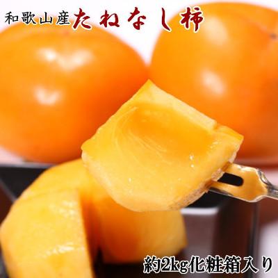 ふるさと納税 上富田町 [秋の味覚]和歌山産たねなし柿約2kg 化粧箱入り(2L〜4Lサイズ)(上富田町)2026年度発送