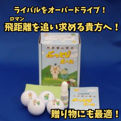 ふるさと納税 丹波篠山市 丹波篠山市限定 非公認高反発ぶっとびゴルフボール4個+飛距離アップクリーナー「飛び〜ナー」のセット