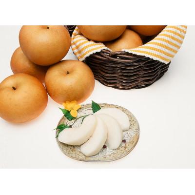ふるさと納税 飯田市 【9月上旬から発送予定】南信州生まれのジューシーで甘い梨【南水梨】ロイヤル　約5kg　10〜14玉 |  | 02