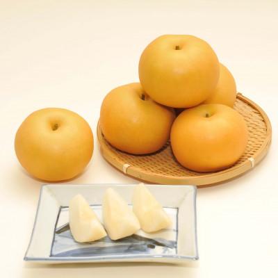 ふるさと納税 飯田市 【9月上旬から発送予定】南信州生まれのジューシーで甘い梨【南水梨】ロイヤル　約5kg　10〜14玉 |  | 03