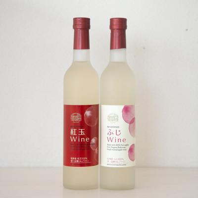 ふるさと納税 松川町 りんごワイン2本セット ふじ&amp;紅玉 各500ml