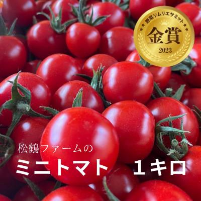 ふるさと納税 南富良野町 ミニトマト 1kg