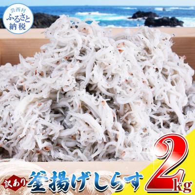 ふるさと納税 芸西村 [訳あり]釜揚げ しらす 2kg 