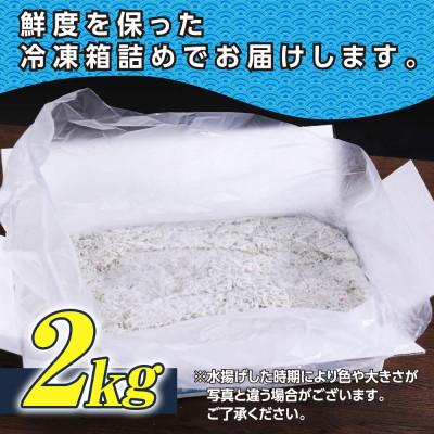 ふるさと納税 芸西村 【訳あり】釜揚げ しらす 2kg 【MMK006】 |  | 01