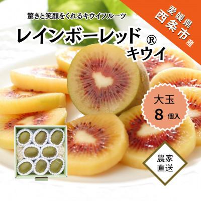 ふるさと納税 西条市 輝らり果樹園の「レインボーレッド(R)キウイ」レギュラーサイズ8個[2025年11月下旬〜発送予定]