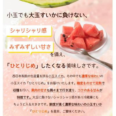 ふるさと納税 九度山町 【2027年発送】紀州和歌山産小玉スイカ「ひとり