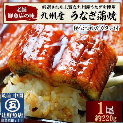 ふるさと納税 中間市 九州産うなぎ蒲焼 約220g×1尾 中間市老舗辻鮮魚店の秘伝タレ付(中間市)