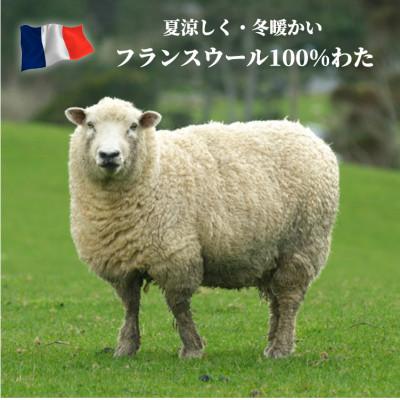 ふるさと納税 和泉市 【シングル】フランスウール100%羊毛わたベッドパッド(100×200cm) WB-10の画像
