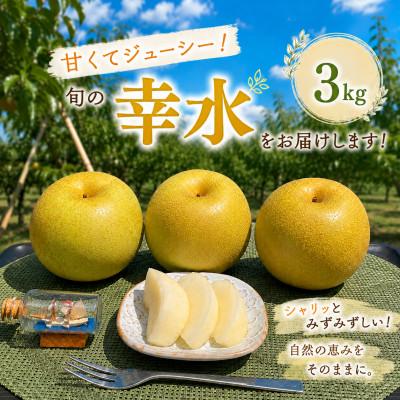ふるさと納税 飯田市 南信州産 梨[幸水]3kg