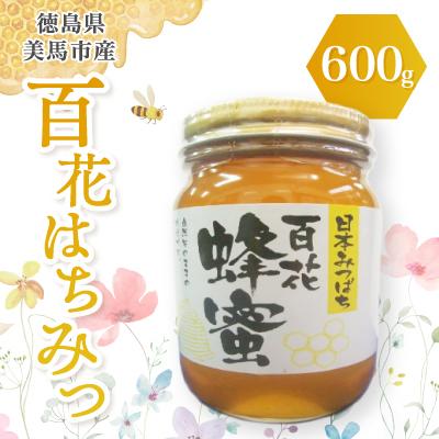 ふるさと納税 美馬市 徳島県美馬市産日本はちみつ 百花はちみつ 600g