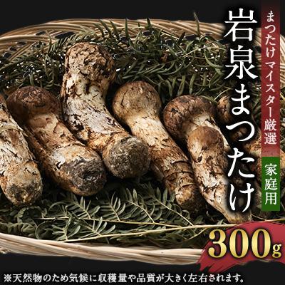 ふるさと納税 岩泉町 [2026秋発送][自家用]岩泉まつたけ 300g